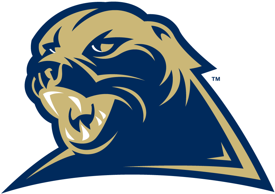 Pittsburgh Panthers 2002-Pres Alternate Logo diy fabric transfer